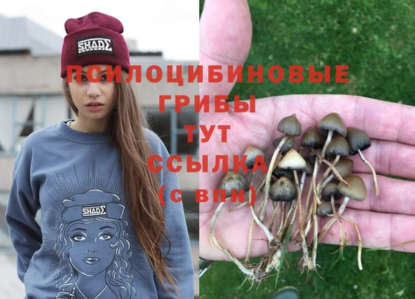 мяу мяу мука Горняк