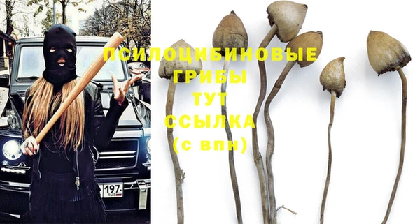 apvp Вязники