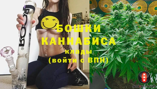 spice Вязьма