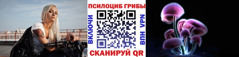 купить наркотик  Чекалин  Псилоцибиновые грибы Psilocybine cubensis 
